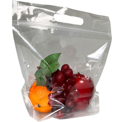 El plástico de la cerradura de la cremallera imprimió bolsos Ziplockk con Logo Fruit Stand Up Pouch con la manija